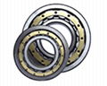 Cylindrical Roller Bearings 1