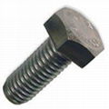 Hex bolt 1