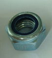 Hex nylon nut 1