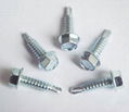 Self-drilling screw 1