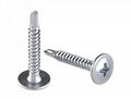 Self-drilling screw 2