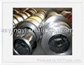 galvanized steel sheet