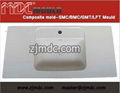 SMC sanitary mould