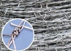 Barbed Wire,Barbed Wire mesh 2