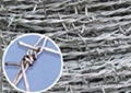 Barbed Wire,Barbed Wire mesh 2