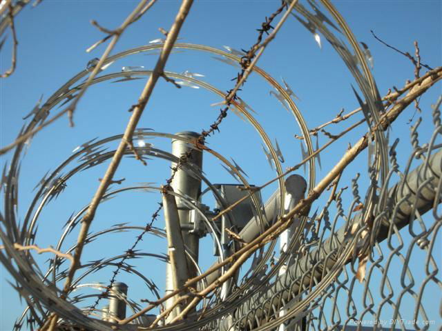 Razor Barbed Wire mesh 2