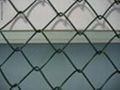 Chain link fence  1