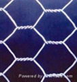 Hexagonal wire mesh Hexagonal wire