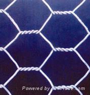 Hexagonal wire mesh Hexagonal wire