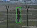 Intelligent Video Analytics Auto tracking Camera  2