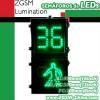 LED Traffic Walkman & Seconds Countdown Pedestrian Signal 