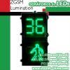 LED Traffic Walkman & Seconds Countdown Pedestrian Signal  1