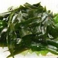 losing weight Brown Seaweed Extract Fucoxanthin 40%-50%