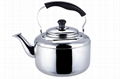 Whistling Kettle/tweedle kettle 2