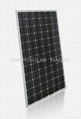 单晶硅太阳能组件 2