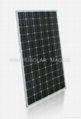 Monocrystalline Solar Module 2