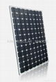 Monocrystalline Solar Module 3