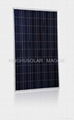 230W  solar polycrystalline module 