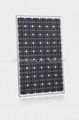 135W  solar monocrystalline module