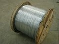 galvanized steel wire 2