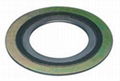 spiral wound gasket