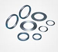 SOLID METAL GASKET