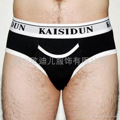 Men's Briefs