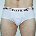 Men's Briefs