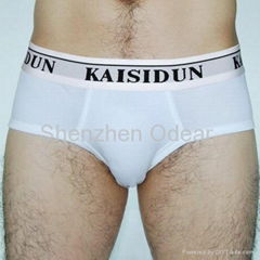 Men's Briefs