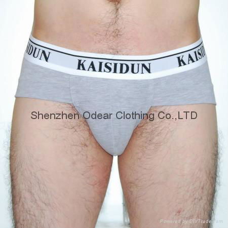 Men's Briefs