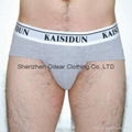 Men's Briefs