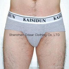 Men's Briefs