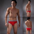 Men's Briefs 1