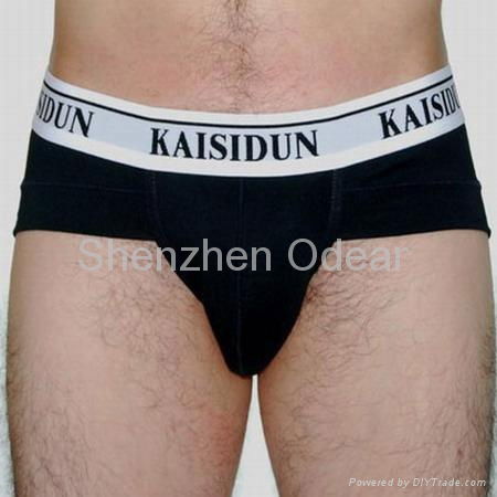 Men's Briefs 2