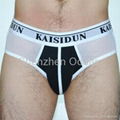 Men's Briefs 2