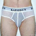 Men's Briefs 3