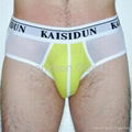 Men's Briefs 4