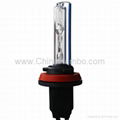 HID Xenon bulb H9,hid xenon light