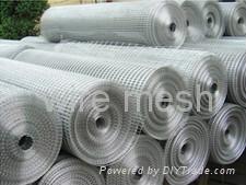 wire mesh