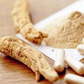 Organic Panax Ginseng Powder NOP/EEC