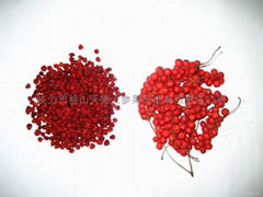 Organic Schisandra chinensis  NOP/EEC