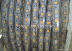 220V strip lighting/indoor lighting/ SMD strip lighting/SMD 5050 strip lighting