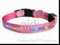 LED Flashing pet Collar