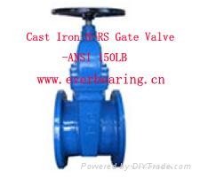 Cast Iron N-RS Gate Valve-ANSI 150LB