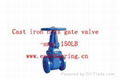 Cast Iron Rising Gate Valve 1