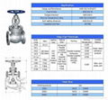 Cast Steel Globe Gate Valve-ANSI 2