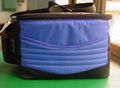 Cooler bag 1