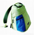 Backpack cooler bag 1