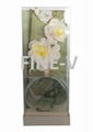 fragrance flower gift set