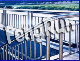 stainless teel balustrade 4